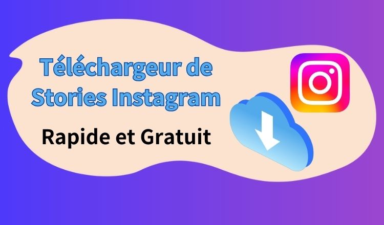 instagram story downloader