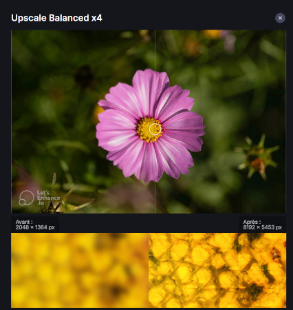 améliorer la qualité d'une photo pixelisée en ligne-3