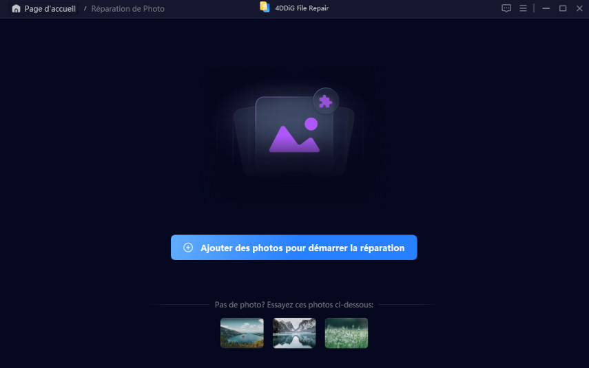 ajouter un fichier à 4ddig