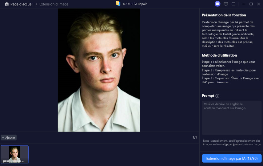 saisir des prompts pour ajouter un filtre Avatar