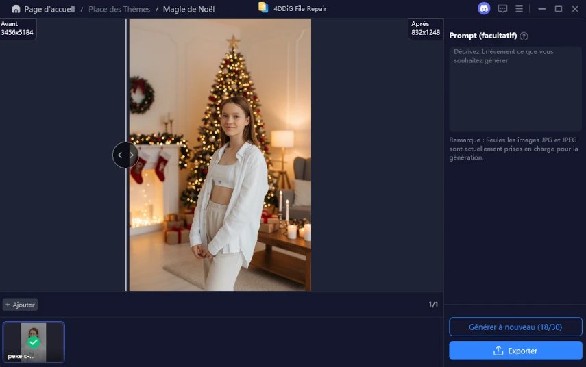 relooking de Noël pour animal de compagnie
