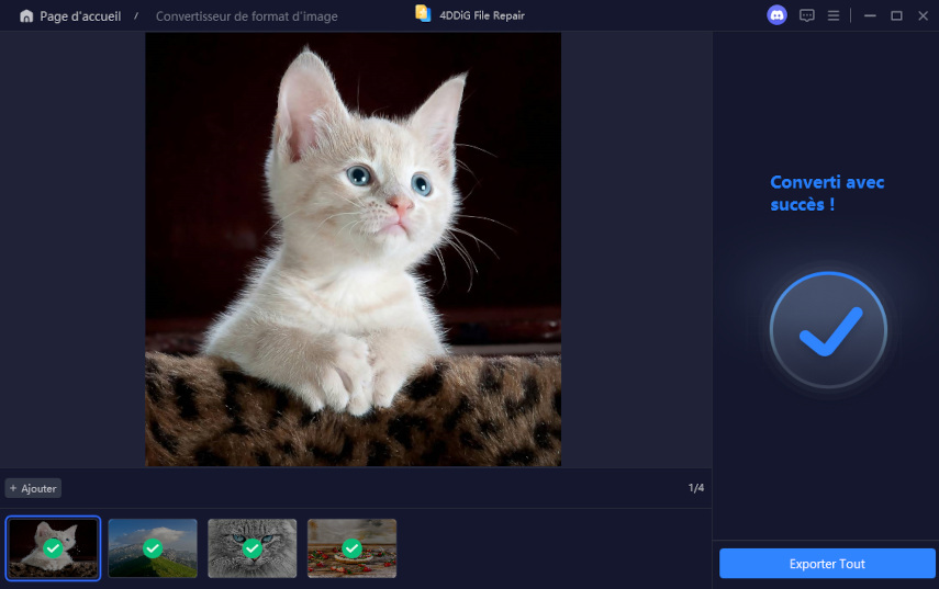 Image Format Conversion Complete