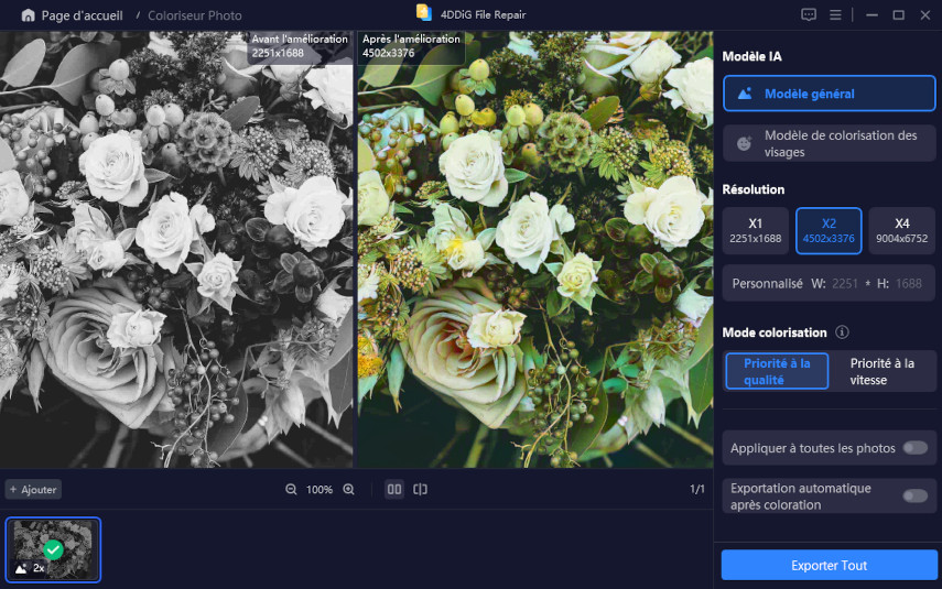 Prévisualisation et enregistrement des photos colorisées