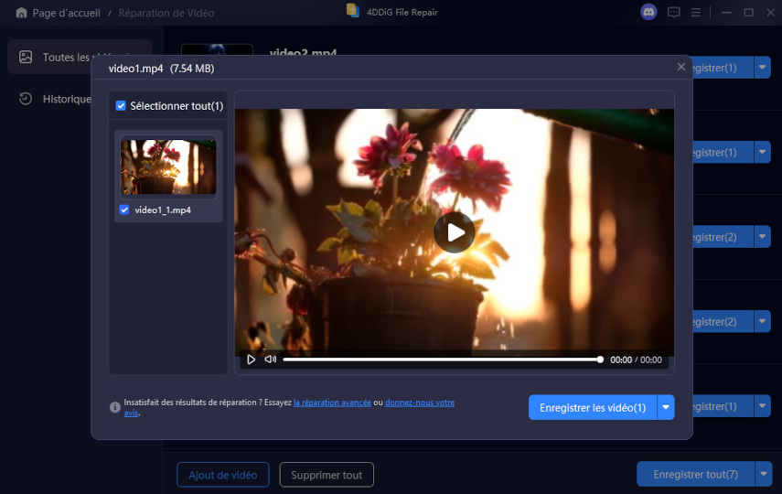 preview repaired video
