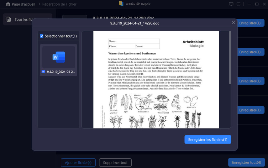 prévisualisation d'un fichier word réparé