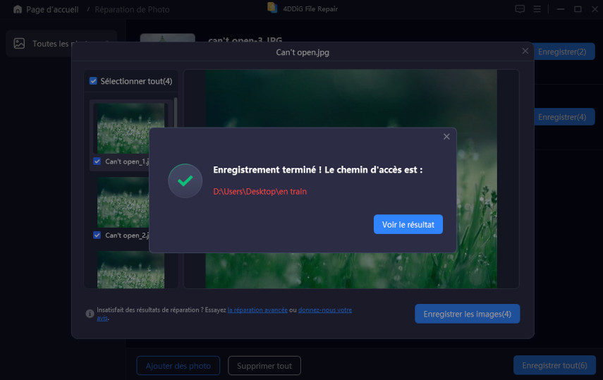 ouvrir un fichier HEIC endommagé avec 4DDiG Photo Repair-4