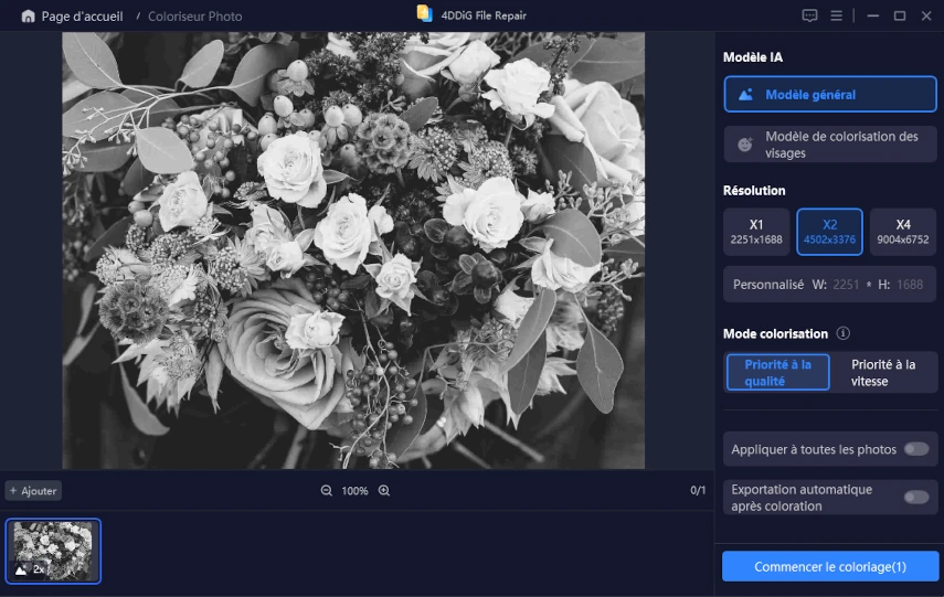 coloriser les photos en noir et blanc avec 4DDiG Photo Enhancer-2