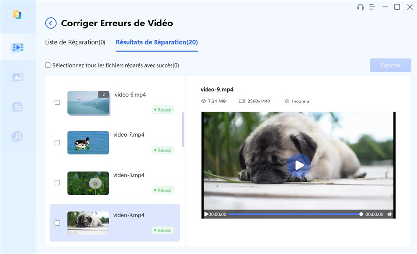 réparer les vidéos corrompues-2