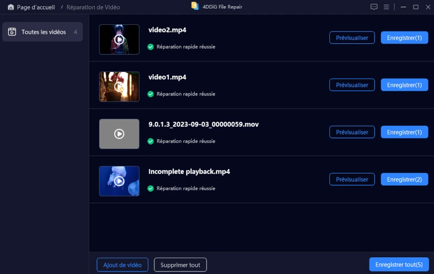 preview and save repaired webm videos
