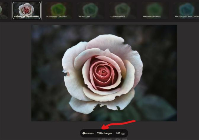 comment coloriser des photos en noir et blanc en ligne avec palette photo colorizer-3