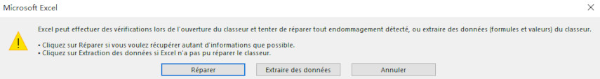 réparer les fichiers excel récupérés qui ne s'ouvrent pas-2