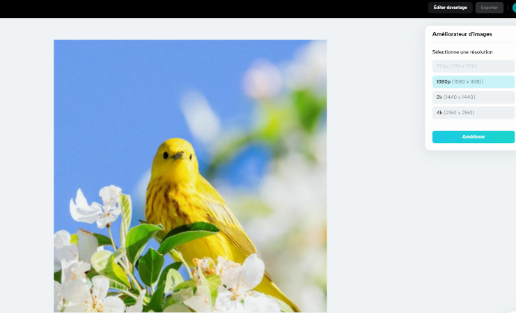 Sélectionnez la résolution sur l'outil d'amélioration d'image de CapCut