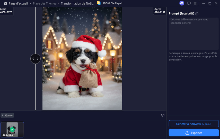 relooking de Noël pour chiot