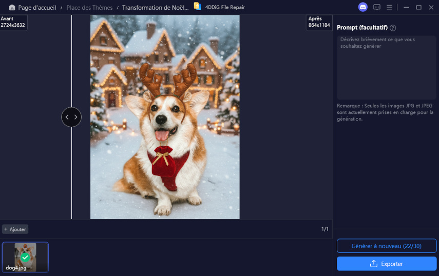 christmas dog photo for corgi