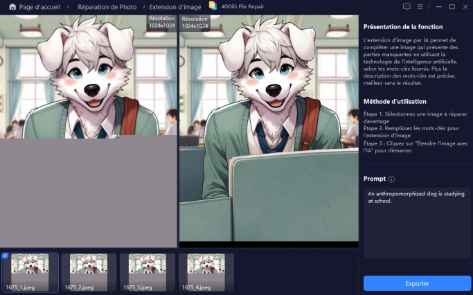 prévisualiser et enregistrer l’image étendue