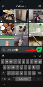 créer un gif sur whatsapp 11