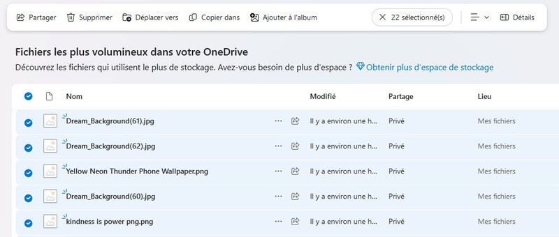 Nettoyer les grands fichiers-3