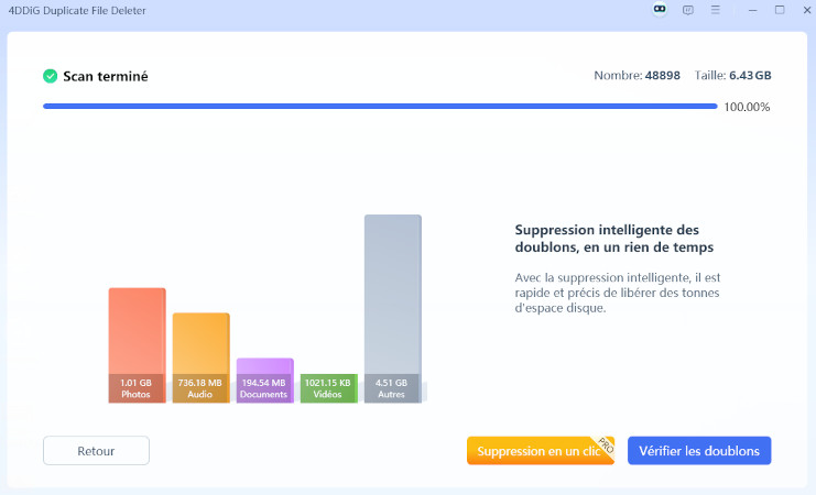 Supprimer les fichiers excel en double avec 4DDiG Duplicate File Deleter-4