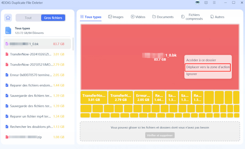 déplacer les fichiers volumineux inutiles pour examen et suppression