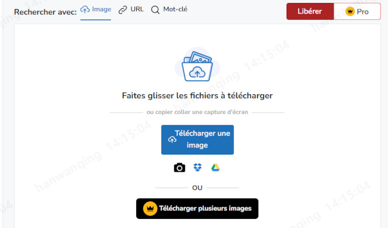 recherche de photos similaires en ligne à partir de la recherche inversée d'images