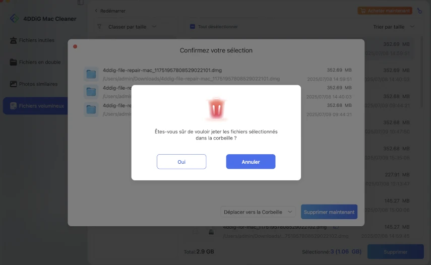 confirmer la suppression des fichiers volumineux
