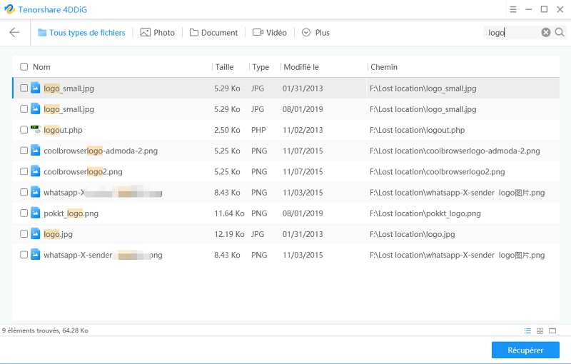 4ddig win search files