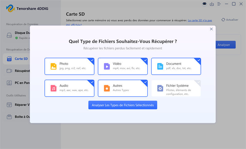 choisir des types de fichiers et lancer l'analyse