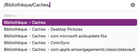 /Bibliothèque/Caches/