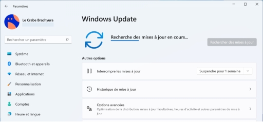 installer Windows 11 24H2 via Windows Update-2