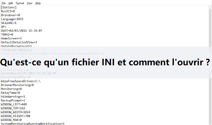 fichier ini