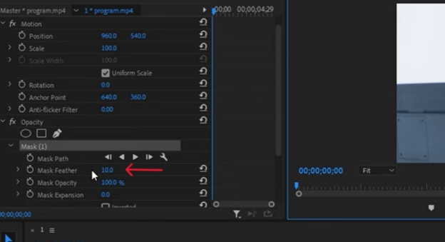 filigrane remover video