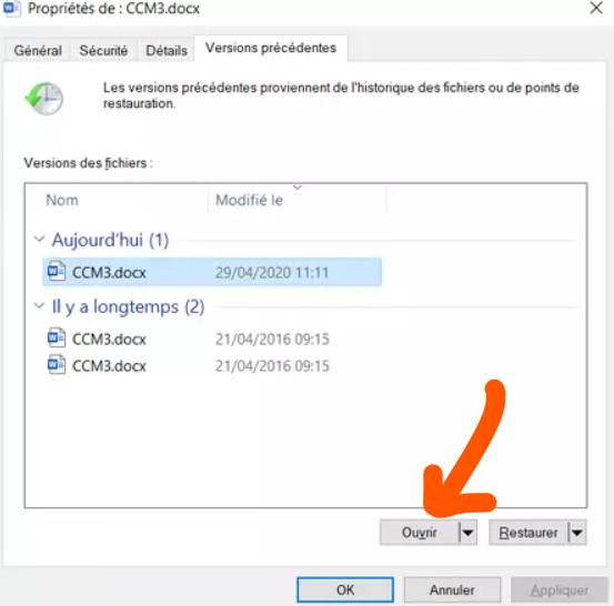 open in file history