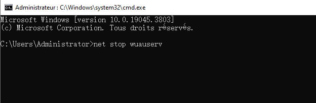 Supprimer la base de données de mise à jour corrompues