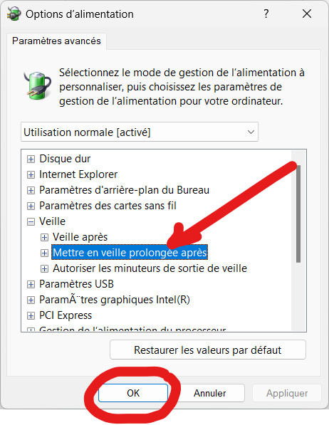 il semble que windows ne s'est pas chargé correctement