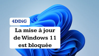 La souris se bloque ou se fige sur Windows 10, 11 : les solutions