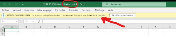 use make as final to make an excel file read only-2