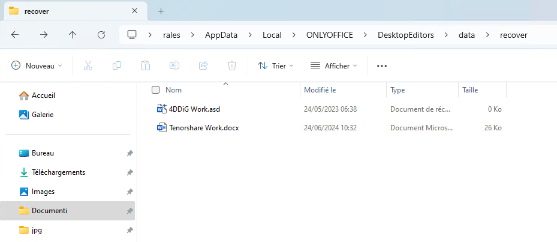 Recherchez le dossier de récupération