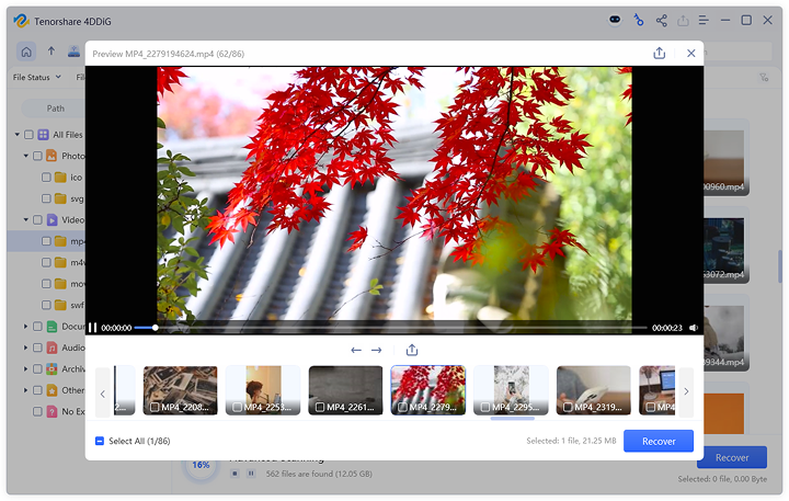 Preview and Recover Data from USB