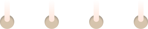 Agrafeuse