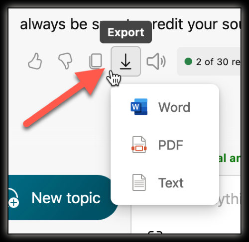 saved copy of copilot conversations