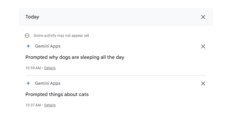 see the gemini chat details