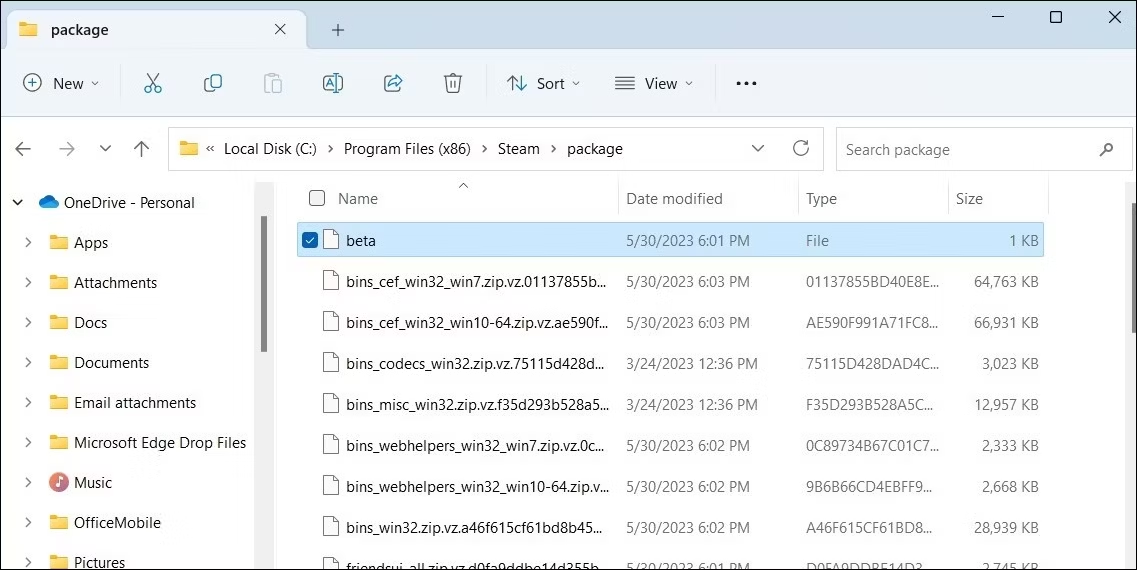 delete steam beta file