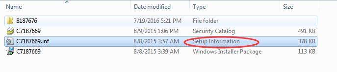 Click
 the file accompanied by Setup Information.