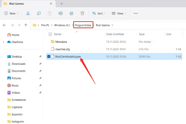 programdata riot client