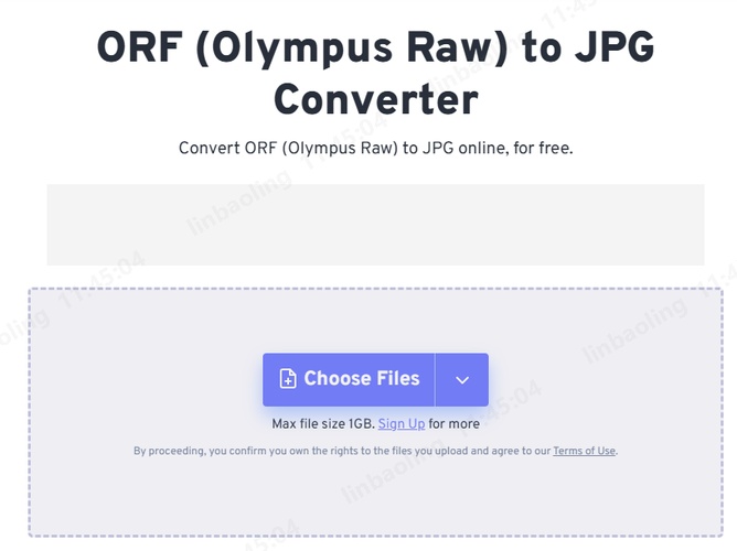 Open FreeConvert and import your ORF