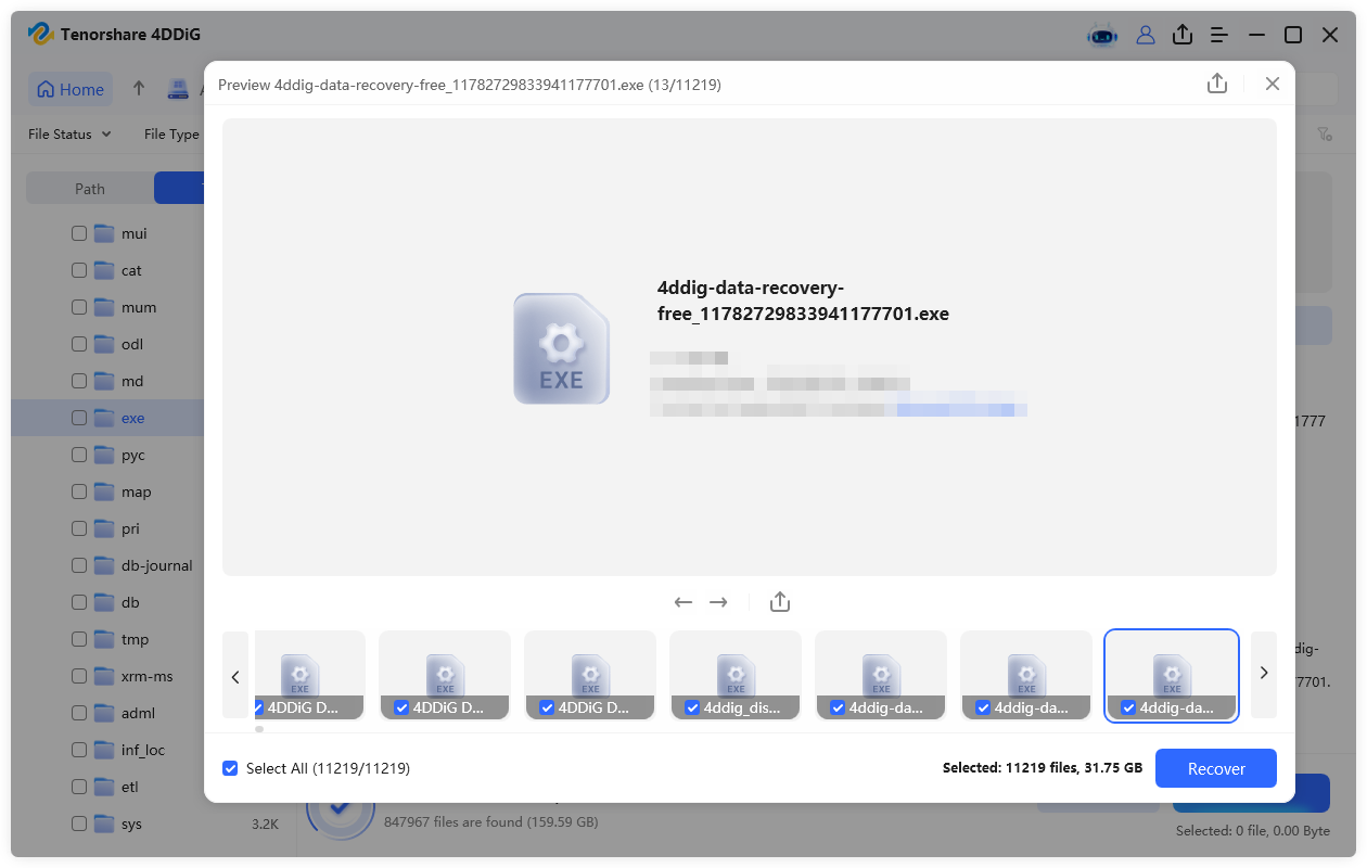 recover the exe files