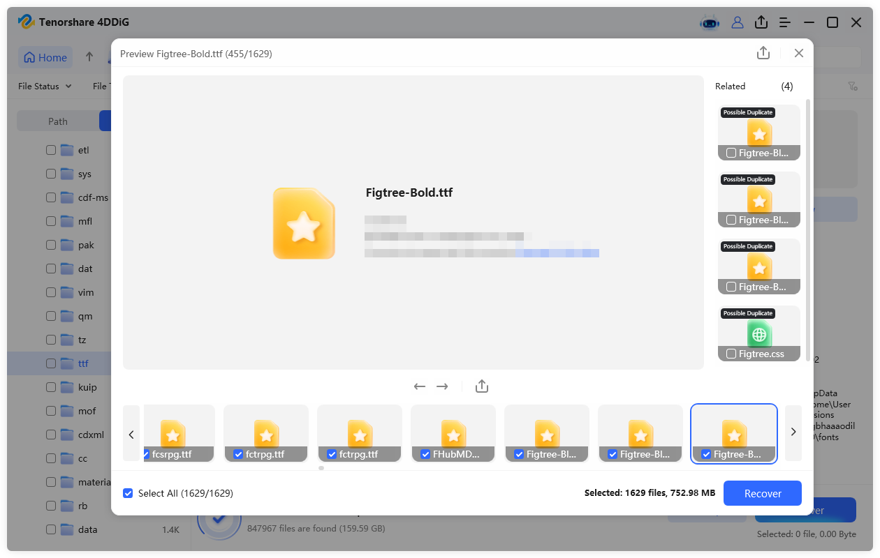recover the ttf files with 4ddig