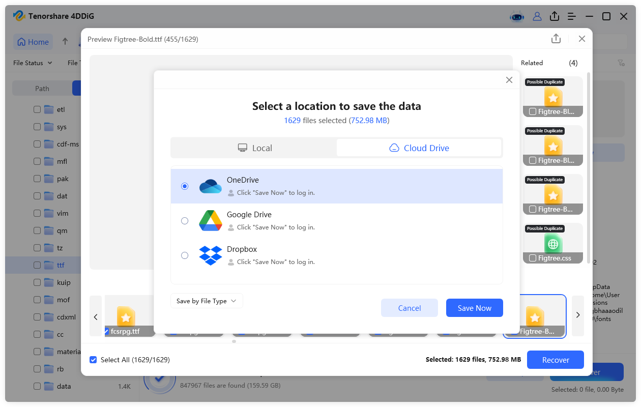 save the recoverable ttf files
