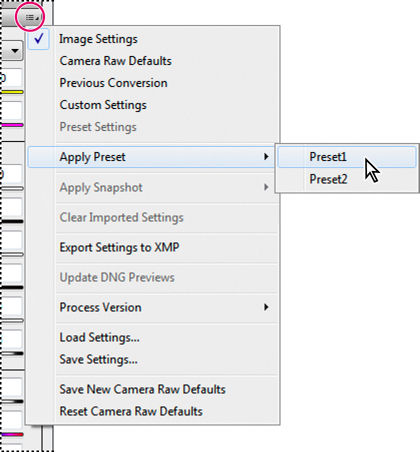 Camera Raw settings menu showing Image Settings and Load Settings commands