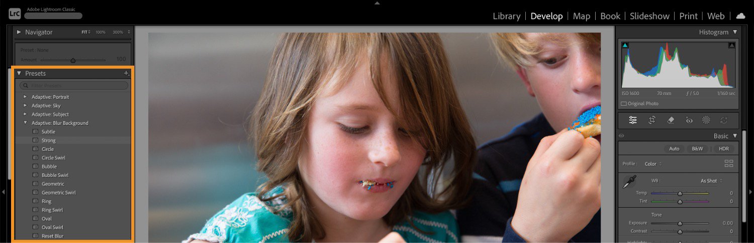 XMP preset controls in the Lightroom Classic Develop module